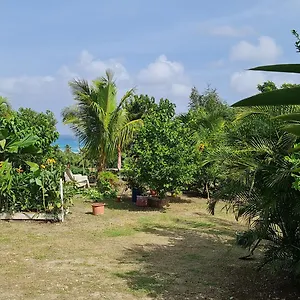 https://le-domharry.comcaribbean.com